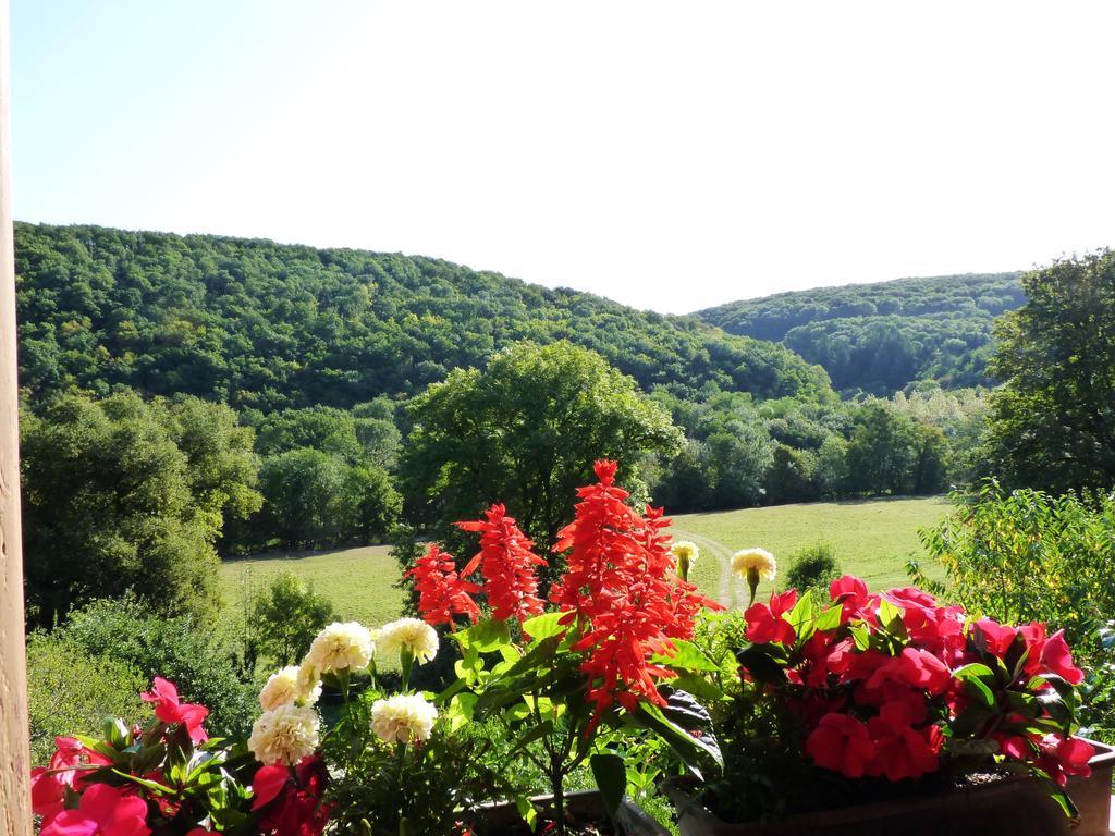 La Maison De Cure Hotel Domecy-sur-Cure Екстериор снимка