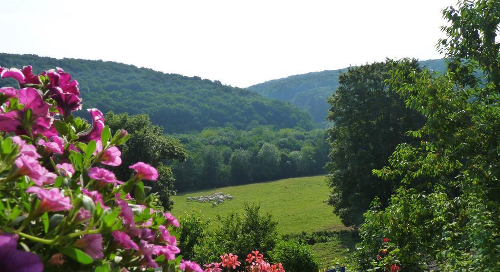 La Maison De Cure Hotel Domecy-sur-Cure Екстериор снимка